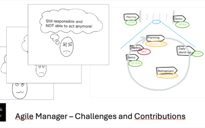 Agile Manager – Challenges and contributions